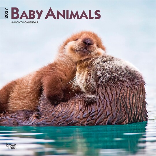 BrownTrout; Baby Animals | 2027 12 x 24 Inch (Hanging) Monthly Square Wall Calendar | Plastic-Free; Category:Wall Calendars; Image:1
